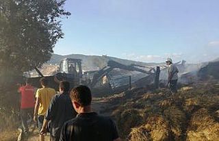 Yenice’de çıkan yangında ev ve ahır yandı,...