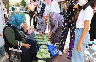 Yeşil altının kilosu 30 lira