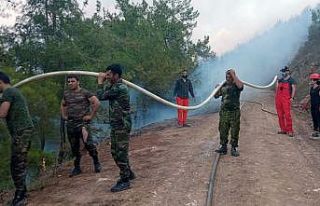 ‘Yeşil Vatan’ için omuz omuza mücadele ediyorlar