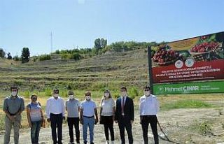 Yeşilyurt’ta kiraz ve vişne üretimi artacak
