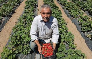 Yetiştiremezsin dediler, şimdi taleplere yetişemiyor