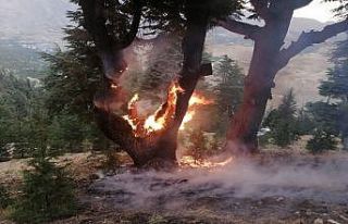 Yıldırım düştü yangın büyümeden söndürüldü