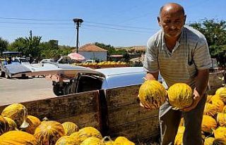 Yiyenler hayran kalıyor, İstanbul’a götürüyorlar