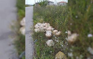 Yol kenarına dökülen bozuk turşular mahallenin...