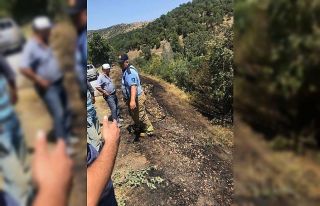 Yol kenarındaki yangını söndürmeye onlarca vatandaş...