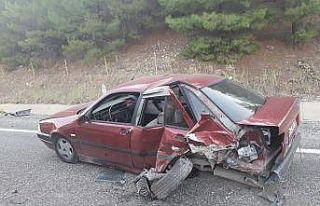 Yola çıkan köpek kazaya neden oldu: 2 yaralı