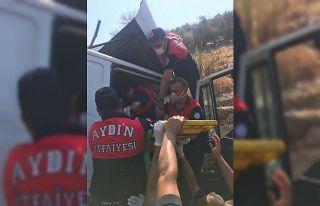 Yoldan çıkan kamyonun sürücüsü yaralandı