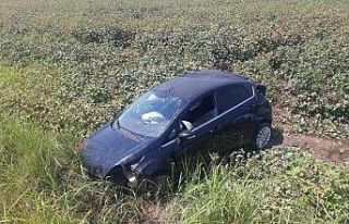 Yoldan çıkan otomobil pamuk tarlasına uçtu: 2...