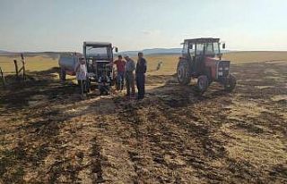 Yüksek gerilim hattına çarpan kuş yangın çıkarttı