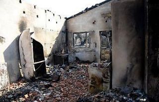 Yunanistan’da orman yangınlarıyla mücadele sürüyor