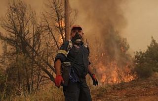 Yunanistan’ın Eğriboz Adası’nda yangın kontrolden...