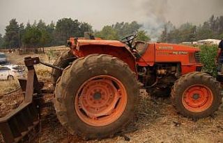 Yunanistan’ın Eğriboz Adası’ndaki yangın 3...