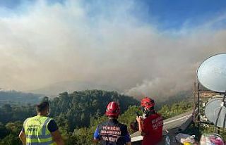 Yüreğir Belediyesi Manavgat’a yardıma gitti
