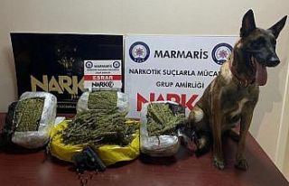 Zehir taciri narkotik polisinden saklanamadı