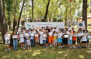Zekâ oyunlarında sertifika heyecanı