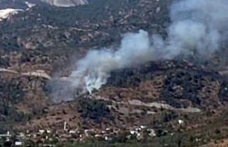 Zeytinlik alanda çıkan yangın kontrol altına alındı