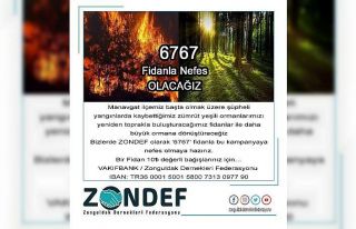 ZONDEF’ten “6767” fidan kampanyası