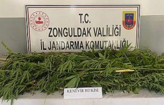 Zonguldak’ta uyuşturucu operasyonu