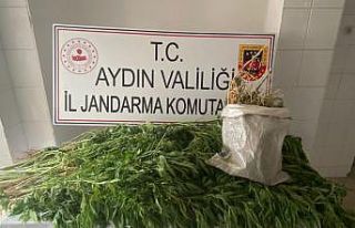 1 haftada 639 gram uyuşturucu ele geçirildi