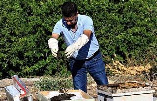 1 milyondan fazla arısı zehirlendi, ”Hepsini çalsalar...