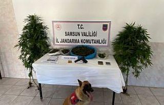 23 yıl 7 ay hapis cezası bulunan şahıs ahırda...