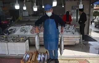 2-4 kilogram arası torikler 250 TL