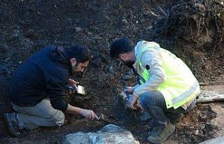 2 bin yıllık tarih gün yüzüne çıktı