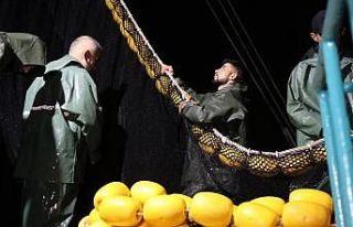 4.5 ayın ardından ağlar yeniden balık doldu