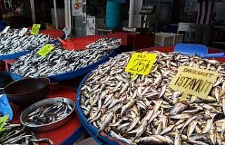 4 kiloluk levreğin kilosu 150 liradan satıldı