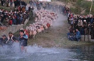 750 yıllık gelenek yaşatıldı, çobanlar göletten...