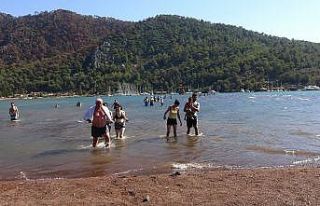 Afet bölgesine yerli turist desteği