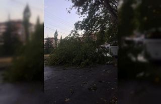 Afyonkarahisar’da şiddetli rüzgar hayatı olumsuz...