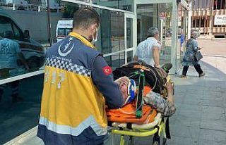 Ağaç dallarının altında kalan iki kişi yaralandı