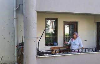 Ağaçları kurutan kelebek şimdi de binaları tehdit...