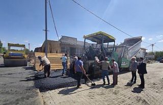 Ağrı Belediyesi, asfaltlama çalışmalarına devam...
