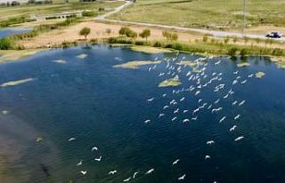 Ağrı Dağı Milli Parkı, güzelliğiyle dikkat...