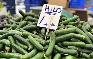 Ağustos’ta fiyatı en çok artan ürün olan salatalık...