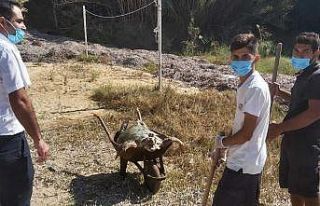 Ağzında poşetle kıyıya vurdu