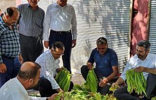 AK Parti heyeti Kahta’nın merkez ve köylerini...
