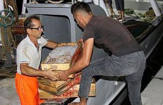 Akdeniz’den balıkçılar ilk avları ile dönmeye...