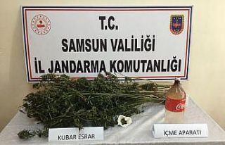 Alaçam’da kubar esrar ele geçirildi