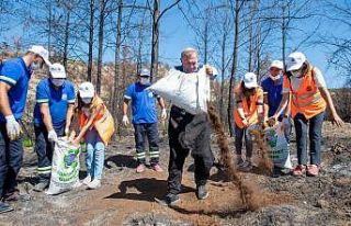 Aladağ’da yanan tarlalara kompost gübre
