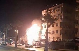Alev alev yanan palmiye ağacı mahalleliyi korkuttu