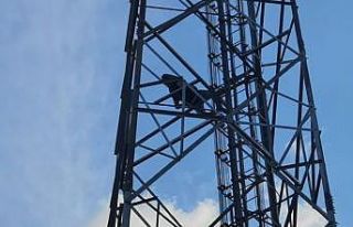 Alkolün etkisiyle çıktığı direkte sızdı