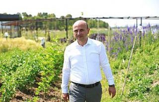 Altınova, AGRİCİTİES’e üye oldu