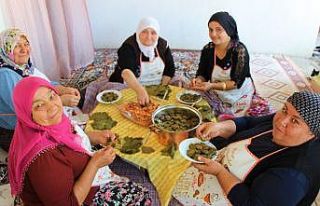 Amasya ’baklalı dolması’na coğrafi işaret...