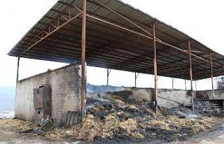 Amasya’da çıkan yangın hala devam ediyor