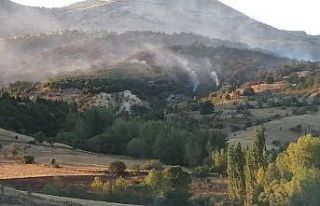 Ankara Çubuk’ta orman yangını