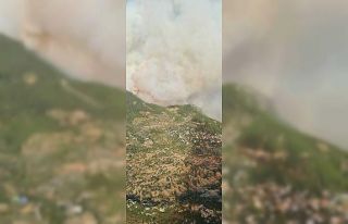 Antalya yangınında ’yangın şeytanı’ görüldü