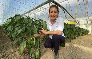 Antalya’dan çıkıyor, Balkan, Rusya ve Avrupa...